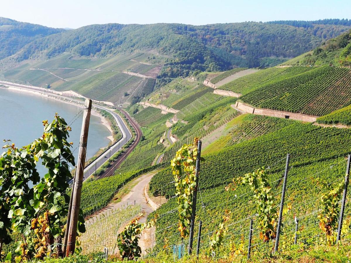 Apartment Rheinweinboppard 2 - Mit Rheinblick *