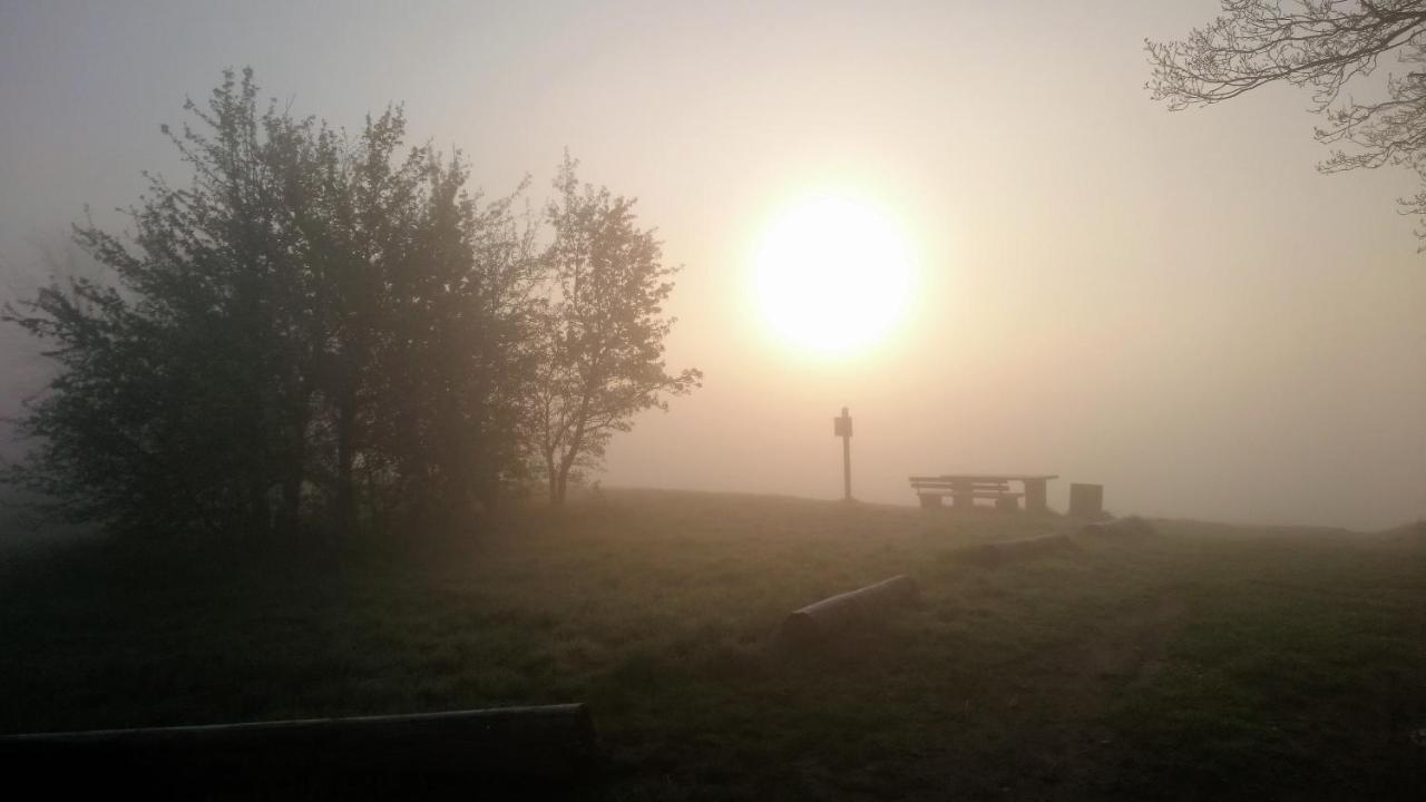 Rheinweinboppard 2 - Mit Rheinblick